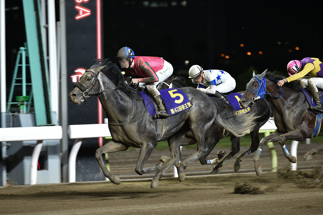 大井 競馬 ai AI予想 極ウマAI予想Q＆A｜極ウマ・プレミアム