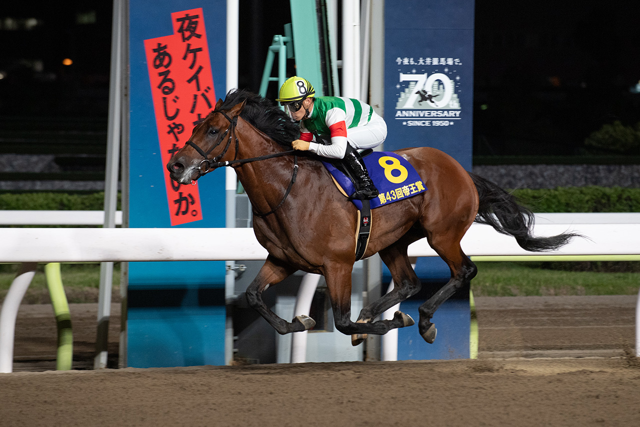 南関競馬スマートフォン