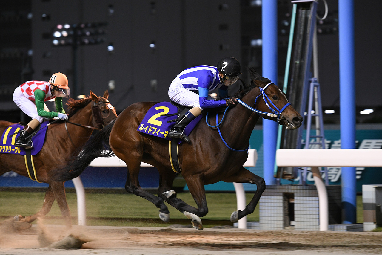 南関東地方競馬チャンネル