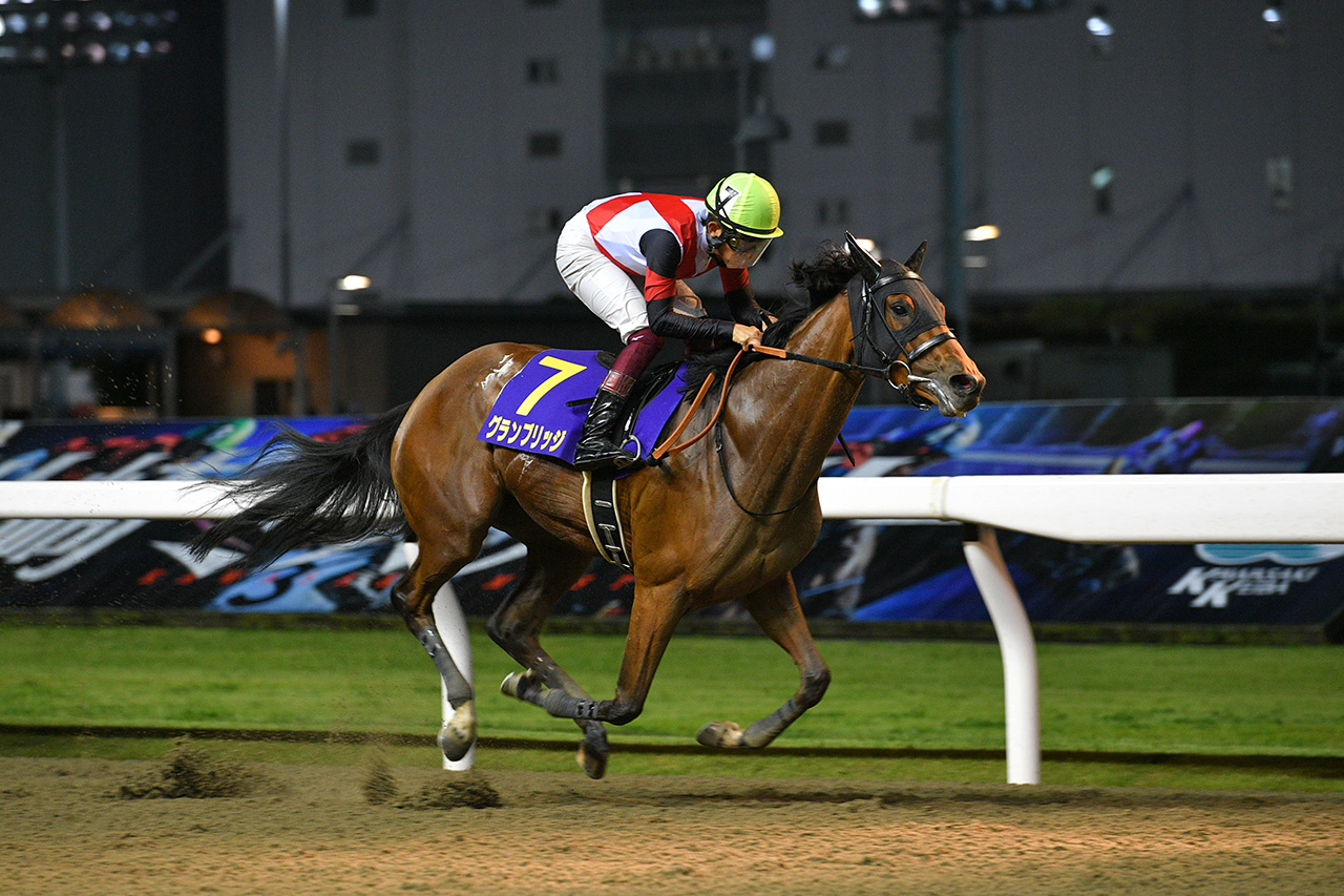 南関東地方競馬チャンネル