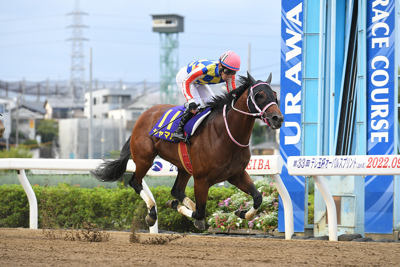 テレ玉杯オーバルスプリント
