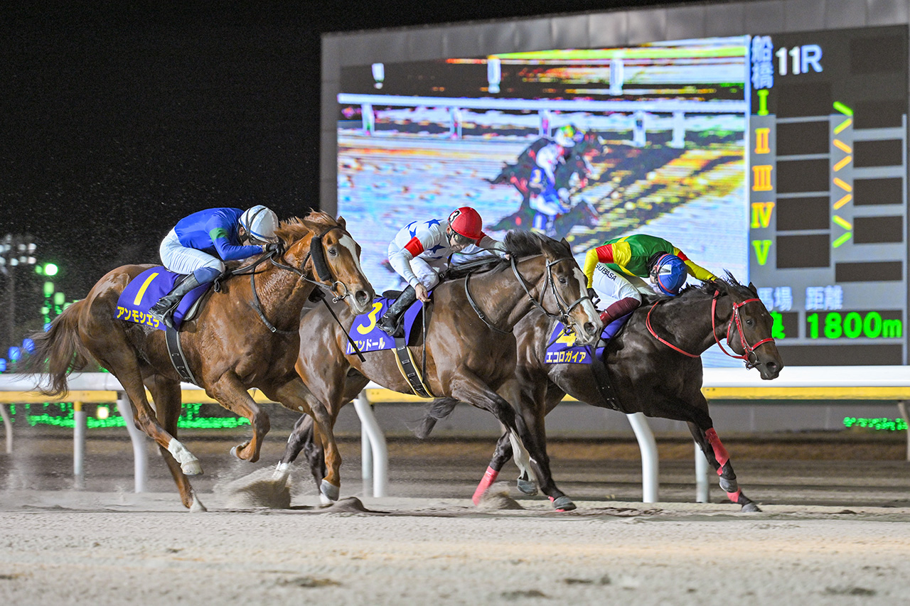 ブルーバードカップ