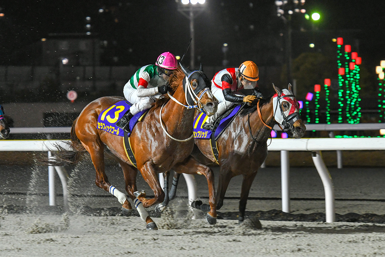 ダイオライト記念